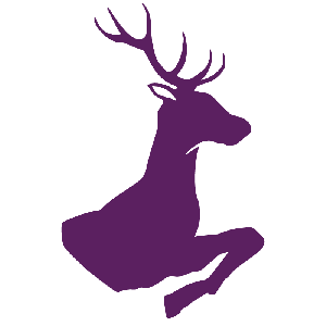 Merry-Wives-of-Windsor